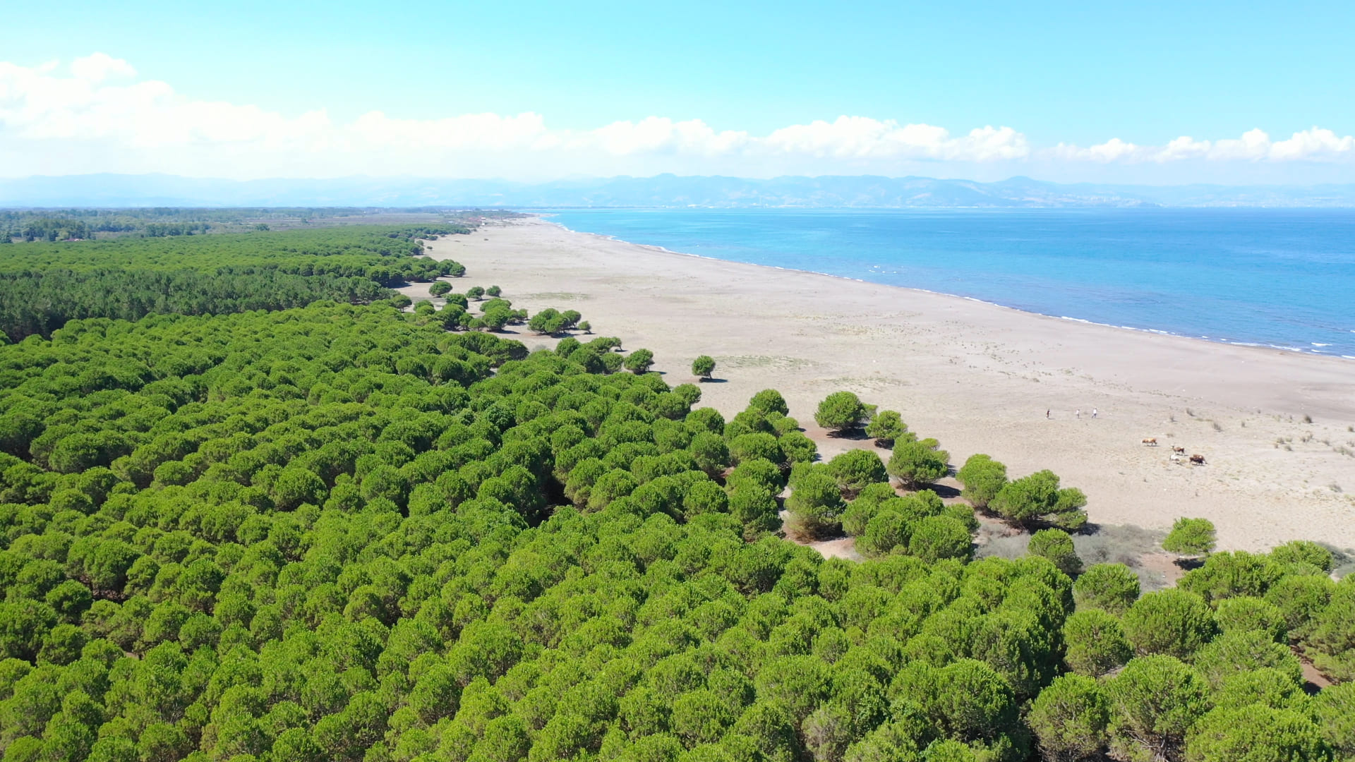 ‘ÇARŞAMBA ORMAN PARK’ MİSAFİRLERİNİ BEKLİYOR