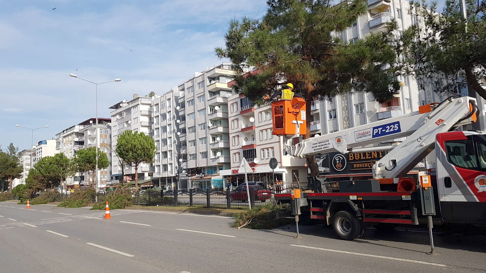 AĞAÇLARA ‘KIŞ’ BAKIMI
