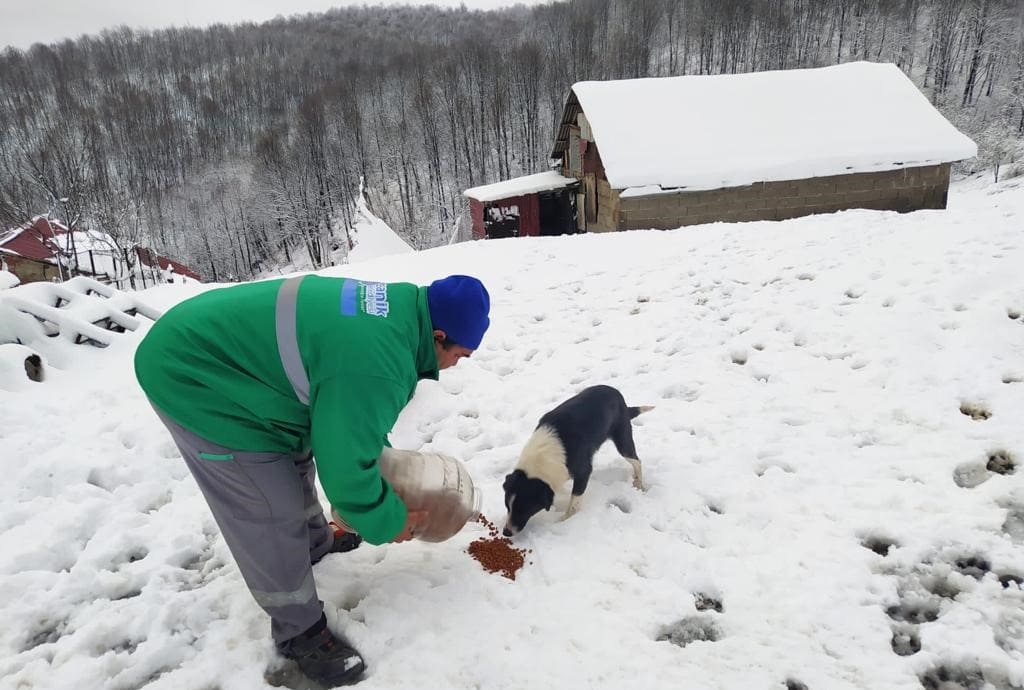 CANİK’TE CAN DOSTLARI YALNIZ BIRAKILMIYOR